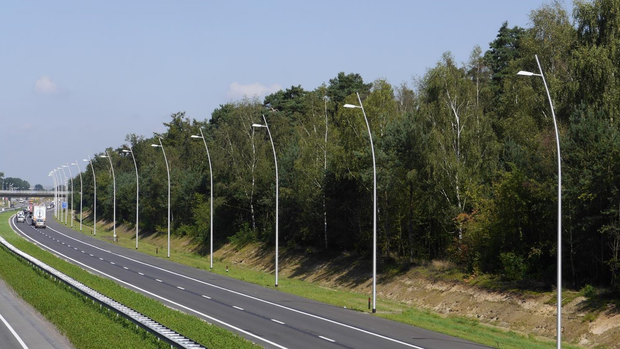 a road with street lights and trees