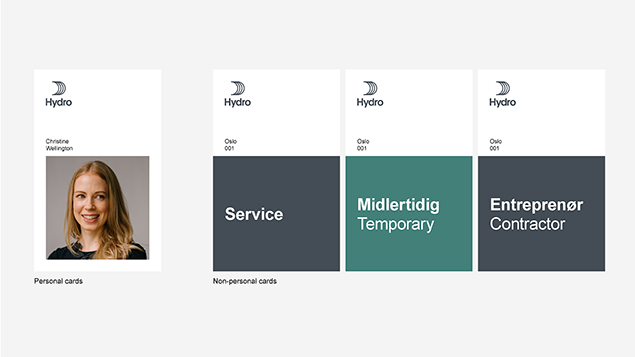 identity card with photo of a woman. Others with text only, representing Service, Temporary and Contractor