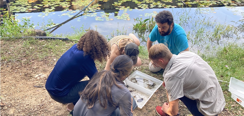 a group of people outside